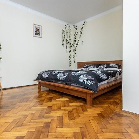Appartamento Supreme Deer Braşov Esterno foto